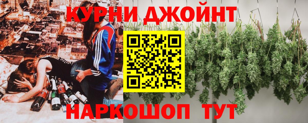 Бошки Шишки планчик Лосино-Петровский
